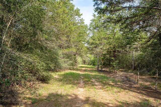 TBD Fm 713 Highway, Rosanky, TX 78953 - photo 16