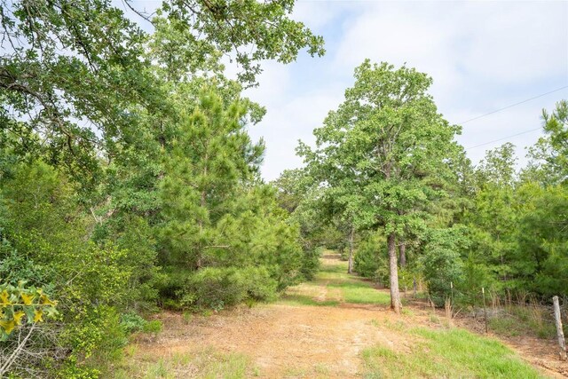 TBD Fm 713 Highway, Rosanky, TX 78953 - photo 19