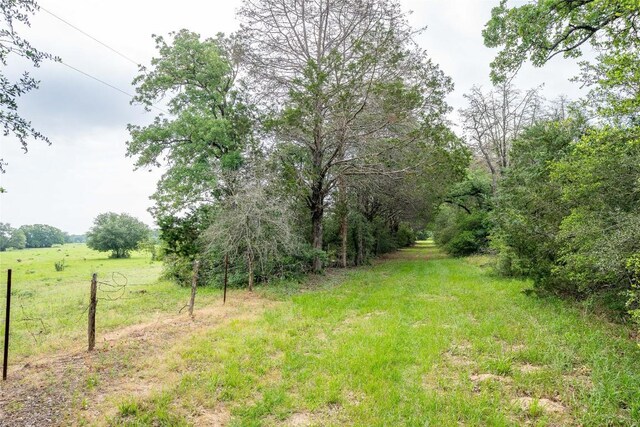 TBD Fm 713 Highway, Rosanky, TX 78953 - photo 21