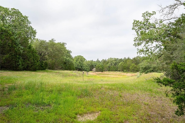 TBD Fm 713 Highway, Rosanky, TX 78953 - photo 22