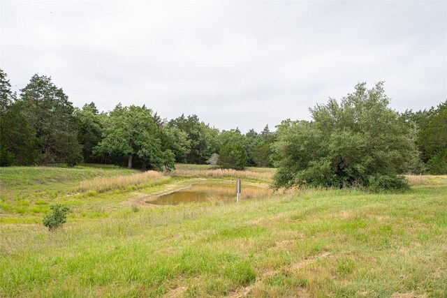 TBD Fm 713 Highway, Rosanky, TX 78953 - photo 24