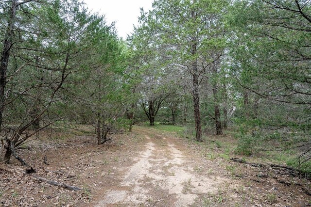TBD Fm 713 Highway, Rosanky, TX 78953 - photo 9