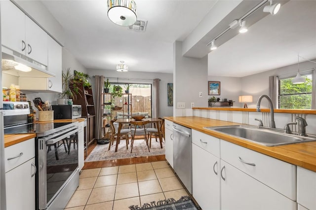 5616 Emerald Forest Dr Unit 111, Austin, TX 78745 - kitchen featuring appliances with stainless steel finishes, under cabinet range hood, wood counters, and a sink