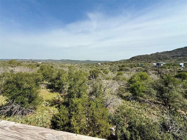 618 Hill St, Burnet, TX 78611 - photo 32