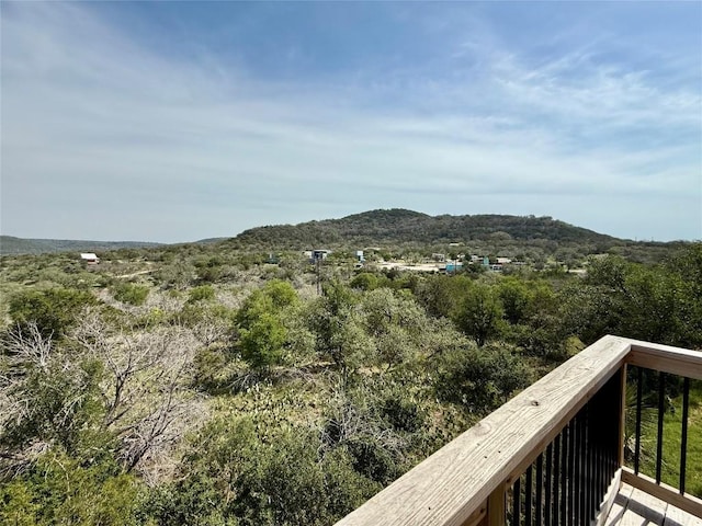 618 Hill St, Burnet, TX 78611 - photo 33
