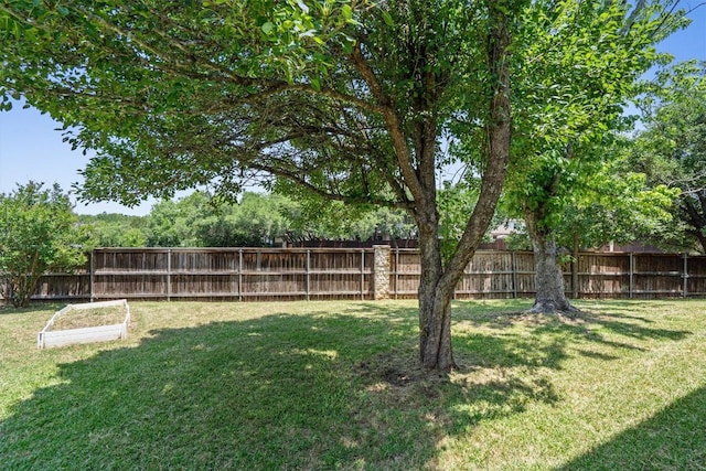 4424 Campo Verde Dr, Austin, TX 78749 - view of yard
