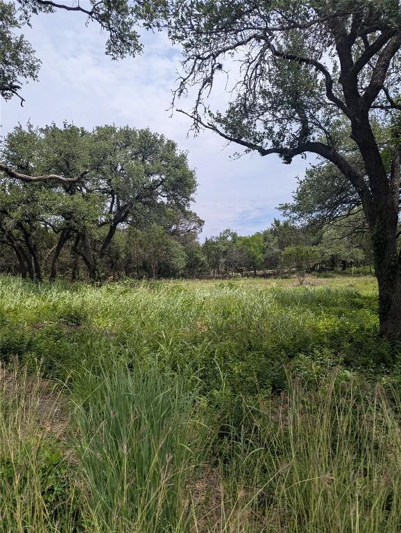 LOT2 Hamilton Pool Rd, Bee Cave, TX 78738