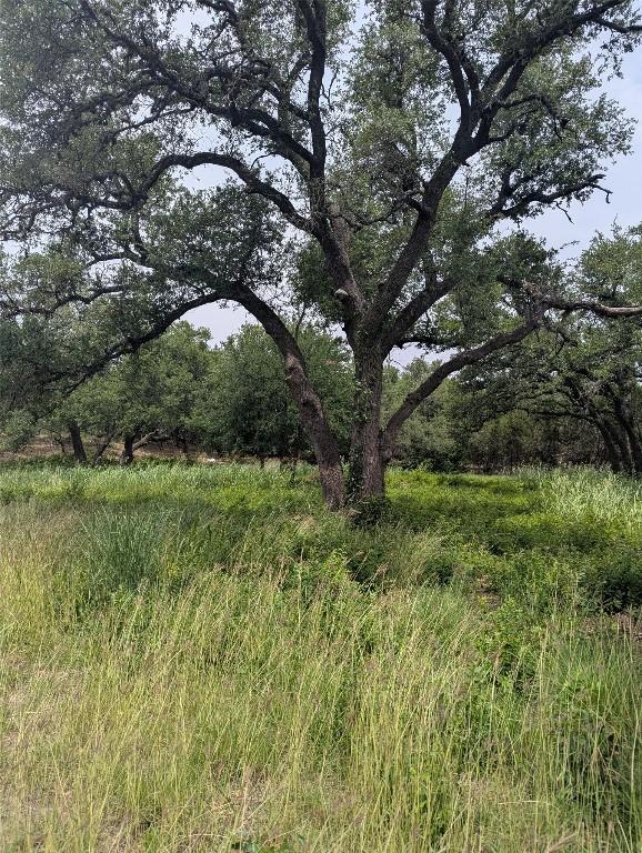 LOT2 Hamilton Pool Rd, Bee Cave, TX 78738