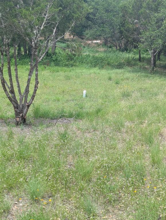 LOT2 Hamilton Pool Rd, Bee Cave, TX 78738