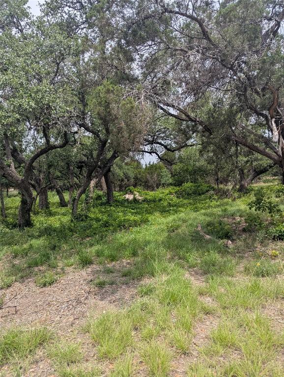 LOT2 Hamilton Pool Rd, Bee Cave, TX 78738