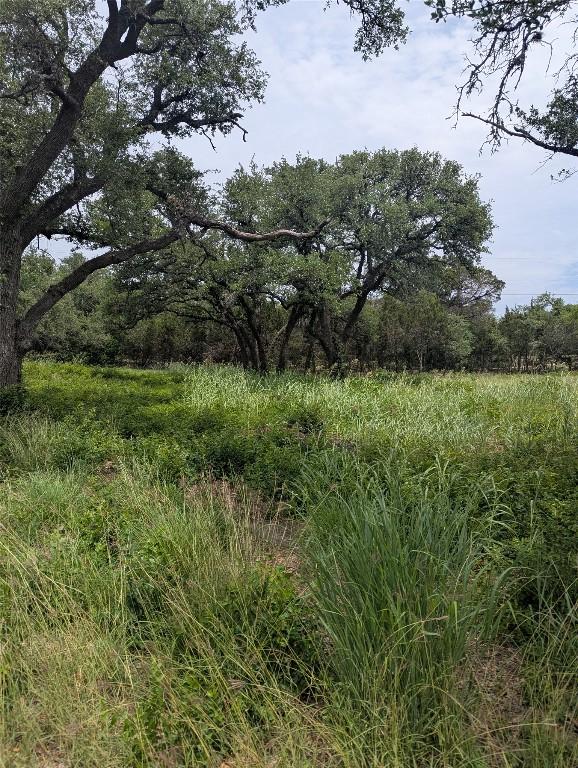 LOT2 Hamilton Pool Rd, Bee Cave, TX 78738