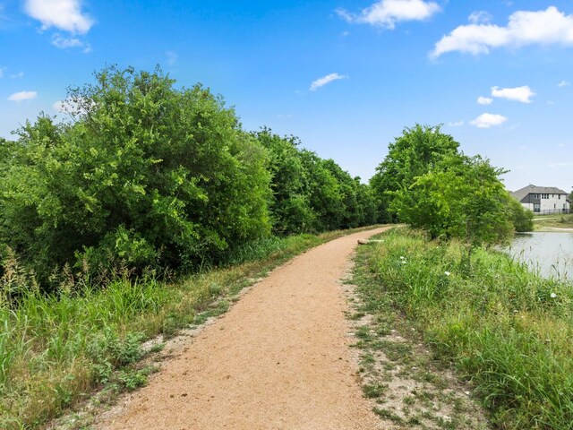 170 Fawn River Run, Kyle, TX 78640 - view of surrounding community