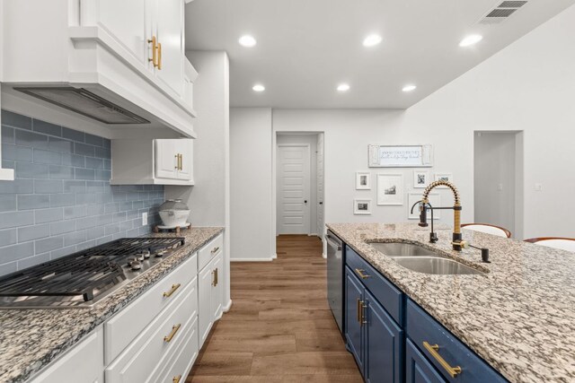 170 Fawn River Run, Kyle, TX 78640 - kitchen featuring a sink, blue cabinets, stainless steel appliances, white cabinets, and wood finished floors