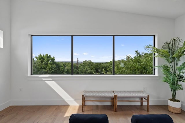 2303 Westworth Cir, Austin, TX 78704 - living area with plenty of natural light, baseboards, wood finished floors, and lofted ceiling