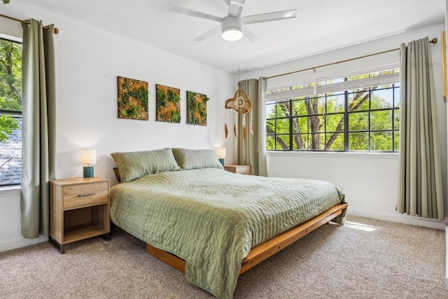 9906 Briar Ridge Dr, Austin, TX 78748 - carpeted bedroom with multiple windows and a ceiling fan