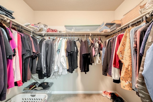 11404 Day Camp Ln, Austin, TX 78754 - spacious closet featuring carpet floors