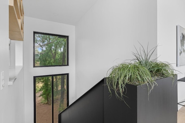 5013 Rob Scott St, Austin, TX 78721 - photo 29