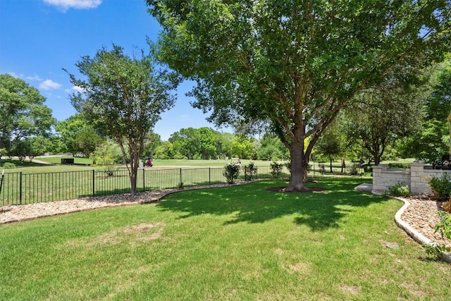 115 Durango Trl, Georgetown, TX 78633 - view of yard