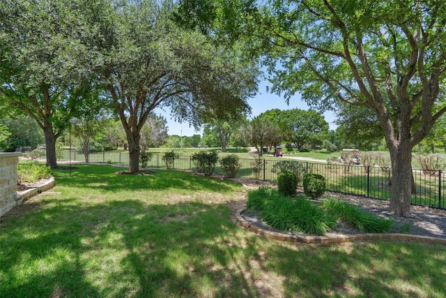 115 Durango Trl, Georgetown, TX 78633 - view of yard