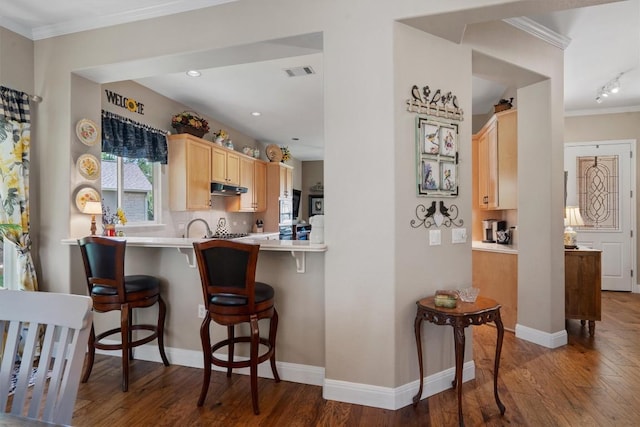 115 Durango Trl, Georgetown, TX 78633 - kitchen featuring light brown cabinets, under cabinet range hood, crown molding, wood finished floors, and a breakfast bar area