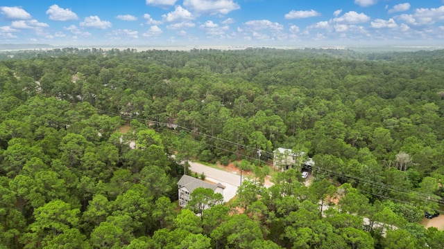 182 Kaanapali Ln, Bastrop, TX 78602 - drone / aerial view of a forest
