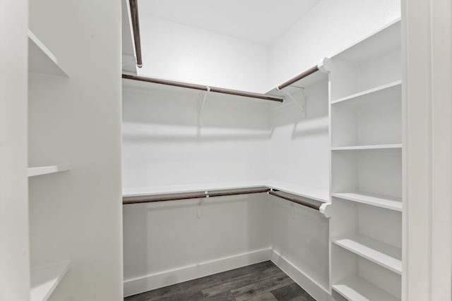 182 Kaanapali Ln, Bastrop, TX 78602 - spacious closet with dark wood-type flooring