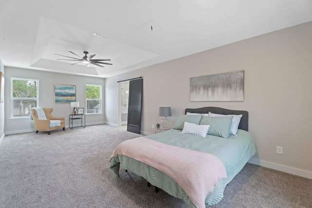 100 Toltec Cv, Kyle, TX 78640 - bedroom with a raised ceiling, carpet floors, and baseboards