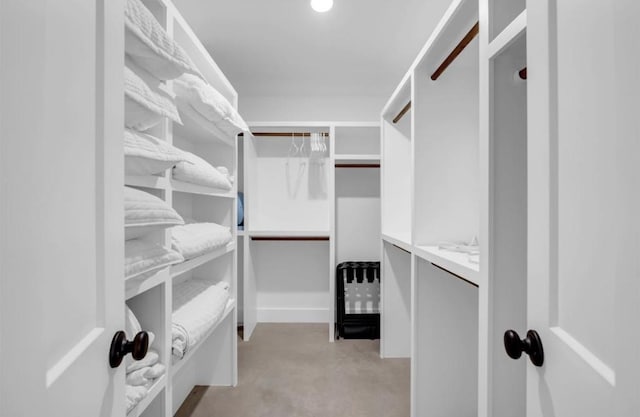 249 Hill Dr, Granite Shoals, TX 78654 - view of spacious closet