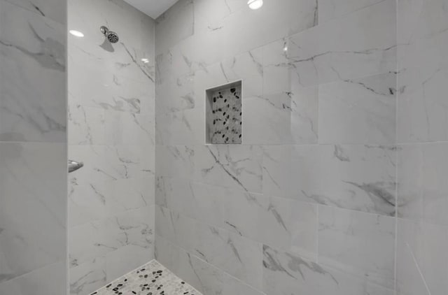 249 Hill Dr, Granite Shoals, TX 78654 - bathroom featuring a tile shower