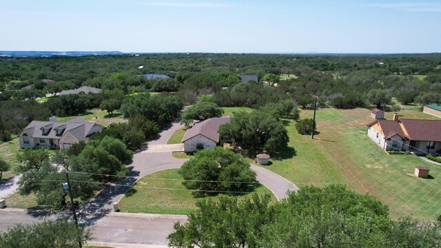217 Circle Oaks Dr, Burnet, TX 78611 - bird's eye view of a forest