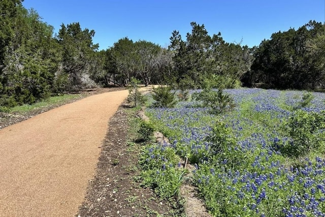 7006 Beckett Rd, Austin, TX 78749 - view of property's community with a forest view