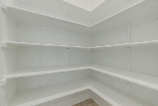 465 Brooks Ranch Dr, Kyle, TX 78640 - view of pantry