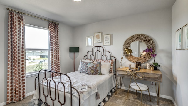 13702 Bothwell Pl, Manor, TX 78653 - bedroom with carpet and baseboards