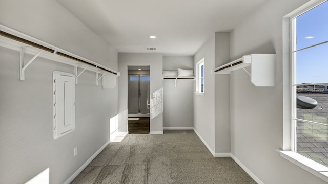 13702 Bothwell Pl, Manor, TX 78653 - walk in closet with carpet flooring and electric panel