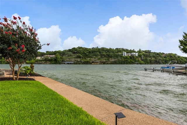 2463 Westlake Dr, Austin, TX 78746 - photo 2