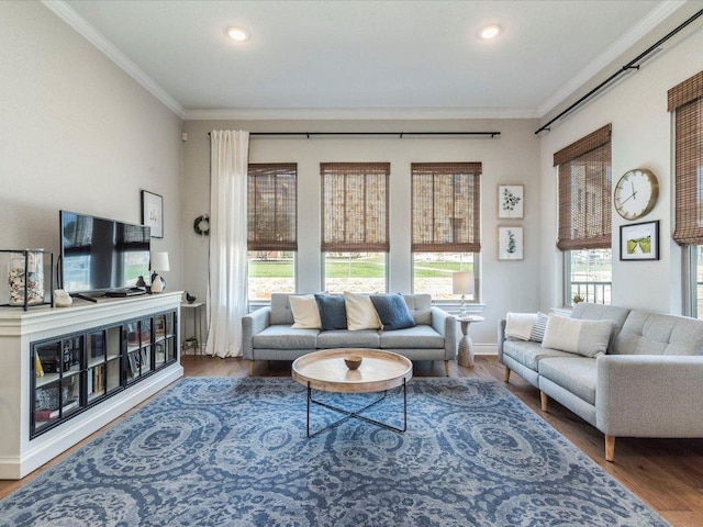 332 Adams St, Georgetown, TX 78628 - living area with wood finished floors, crown molding, recessed lighting, and baseboards