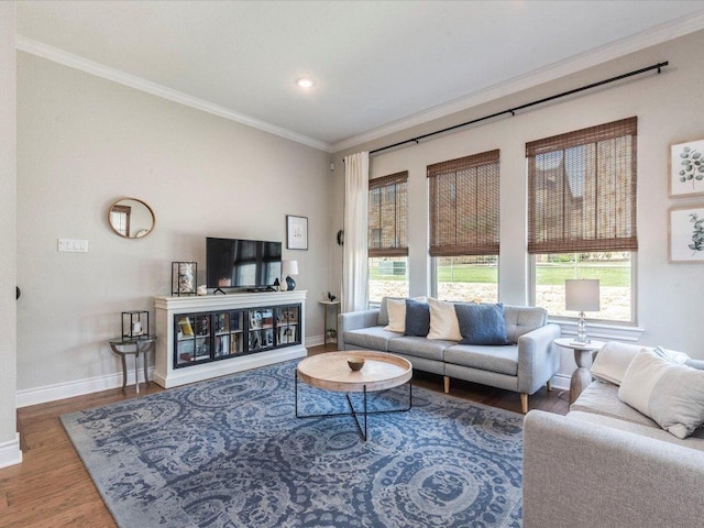 332 Adams St, Georgetown, TX 78628 - living area featuring wood finished floors, ornamental molding, baseboards, and recessed lighting