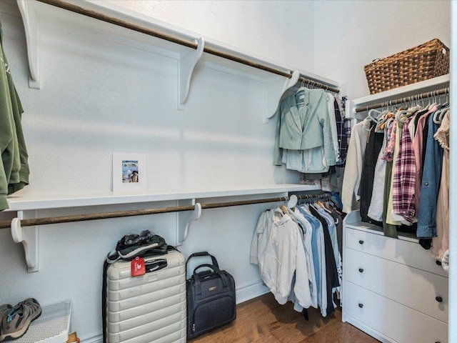 332 Adams St, Georgetown, TX 78628 - walk in closet with wood finished floors