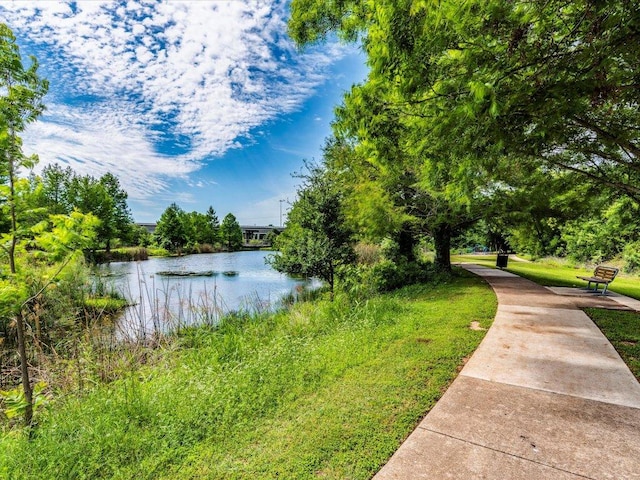332 Adams St, Georgetown, TX 78628 - water view