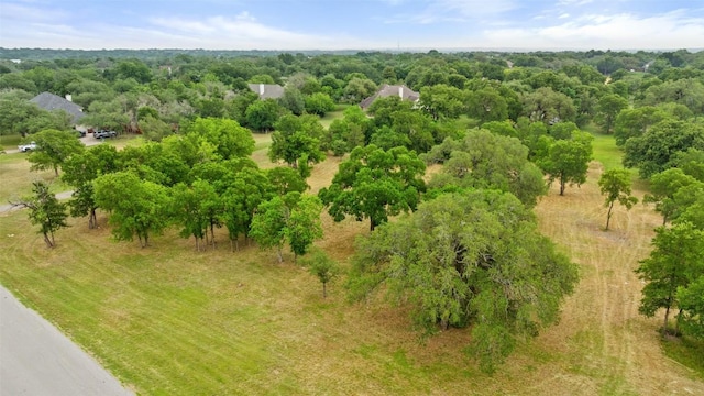 3321 Lost Oasis Holw, Austin, TX 78739 - photo 2