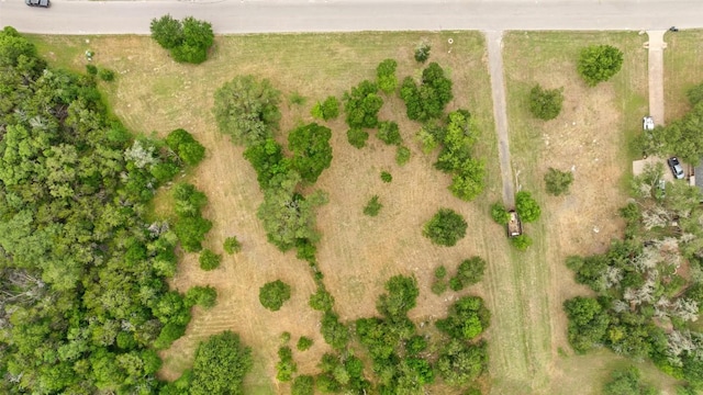 3321 Lost Oasis Holw, Austin, TX 78739 - photo 3