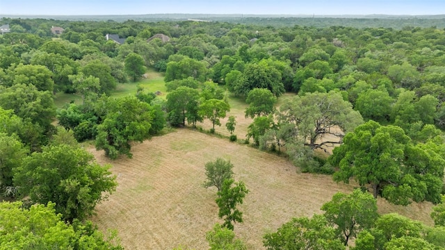 3321 Lost Oasis Holw, Austin, TX 78739 - photo 9