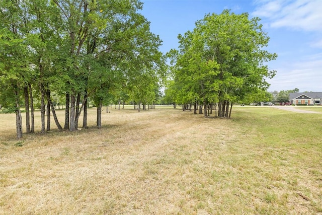 3321 Lost Oasis Holw, Austin, TX 78739 - photo 31