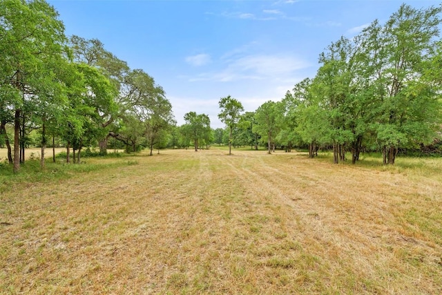 3321 Lost Oasis Holw, Austin, TX 78739 - photo 25