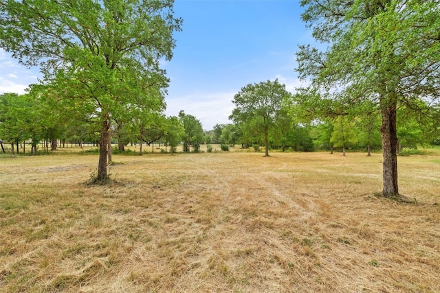 3321 Lost Oasis Holw, Austin, TX 78739 - photo 26