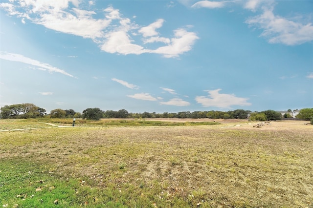 11710 Raymond C Ewry Ln, Austin, TX 78748 - view of green lawn with a view of countryside