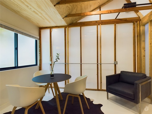 6007 Leisure Run Rd, Austin, TX 78745 - sunroom / solarium with vaulted ceiling