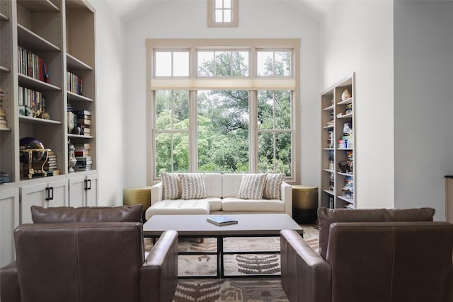 3020 Maravillas Loop, Austin, TX 78735 - living area featuring vaulted ceiling