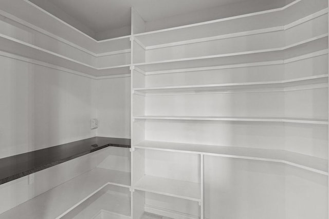 204 Bridges Ln, Buda, TX 78610 - view of pantry