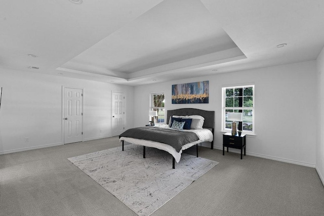 204 Bridges Ln, Buda, TX 78610 - carpeted bedroom with a raised ceiling and baseboards